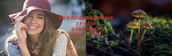 гашиш Гусев
